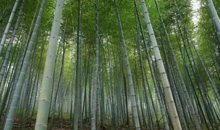 天氣太熱，請給我臺天然冰箱。